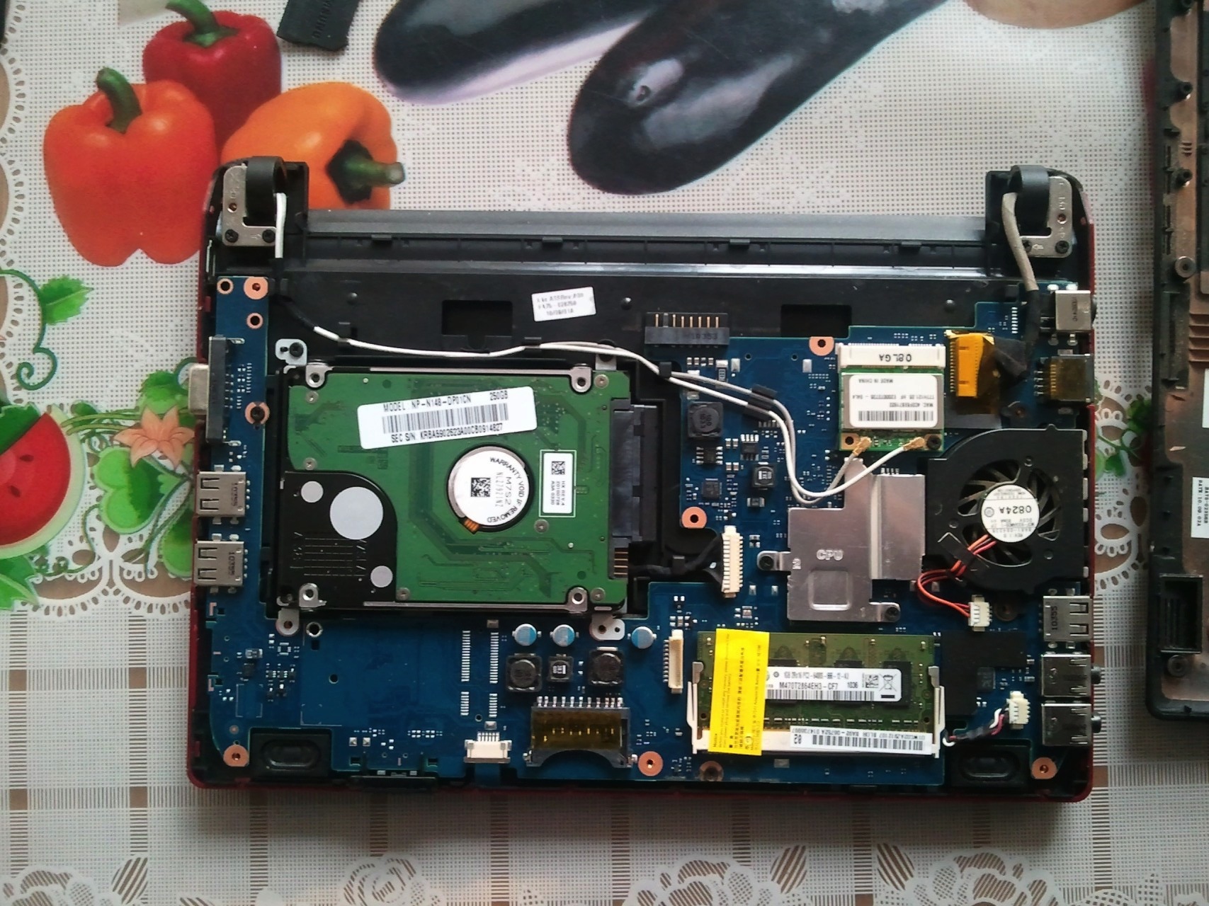open-the-back
